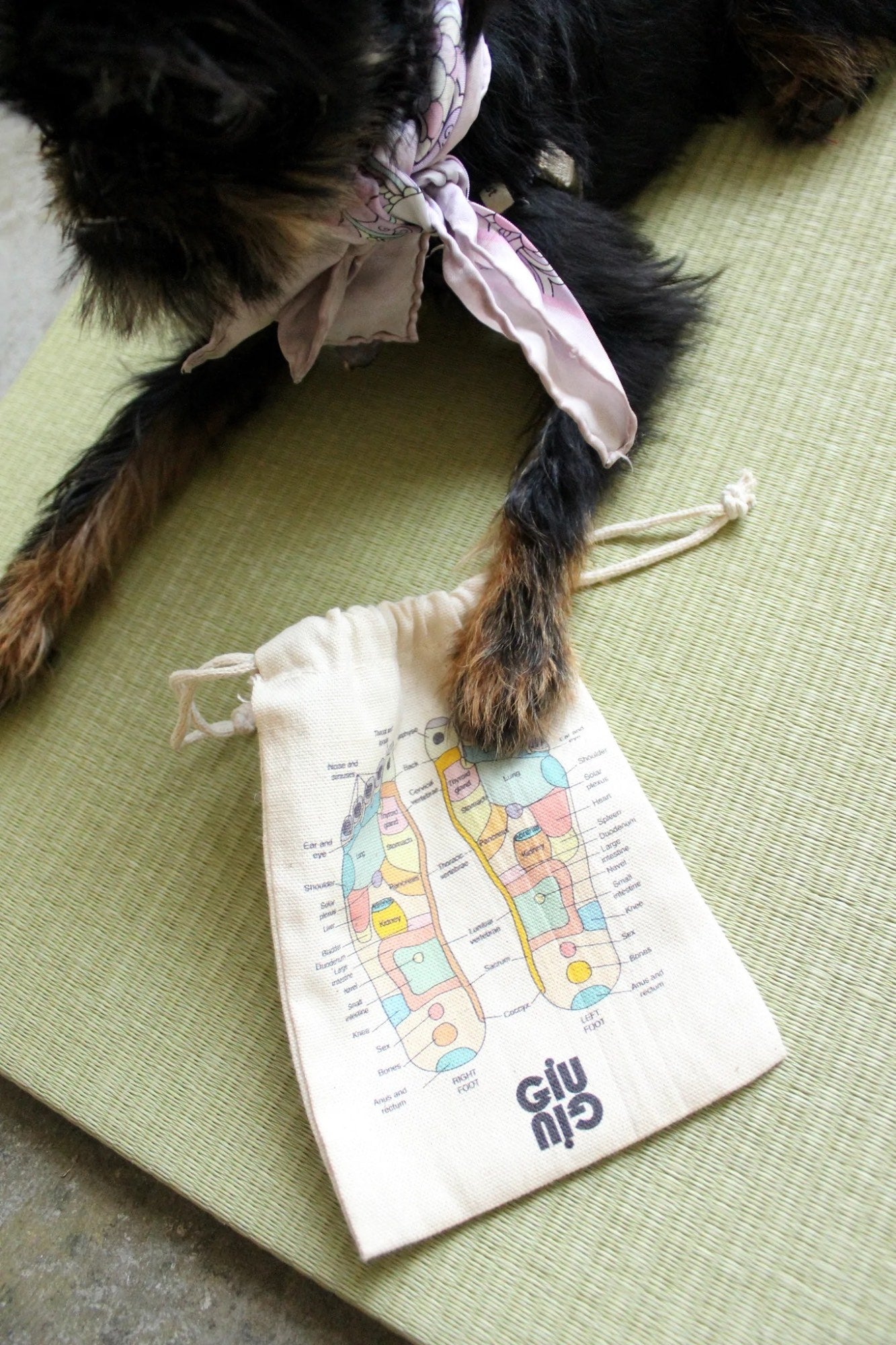 AIR Reflexology Sock in Bleach/Chamomile